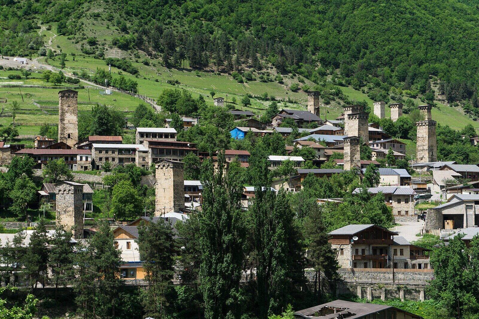 მესტიის შუა საუკუნეების სვანური კოშკები, აღმართული სახლებსა და ხეებს შორის მწვანე ფერდობზე, ივნისში.
